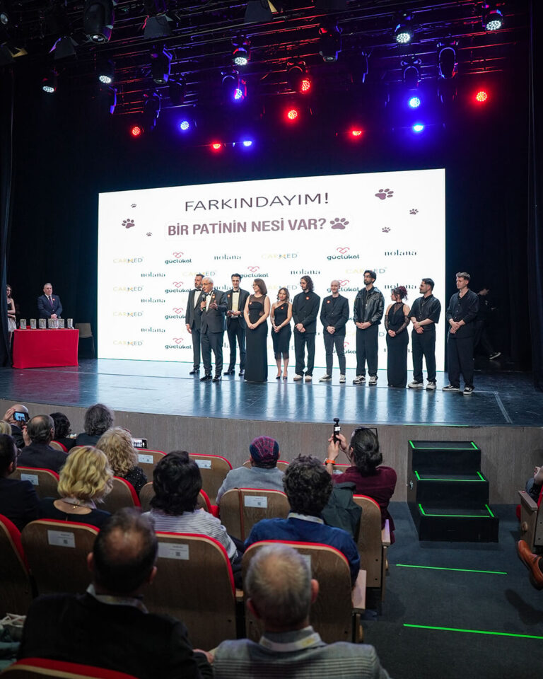 32 sanatçı sokak hayvanları için buluştu